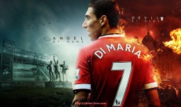 世俱杯直播-世俱杯现场气氛直击，还原真实观赛体验