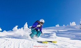 世俱杯直播-世俱杯裁判执法标准及其对赛事公正性的保障机制