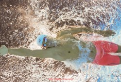 世俱杯直播-意甲球队球场产权归属结构与使用权分析